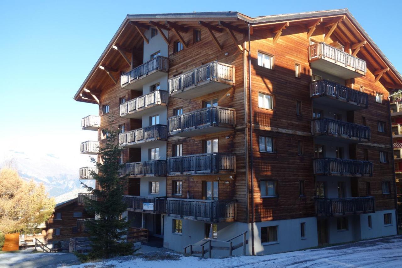 Pracondu 1 Outdoor & Fun Appartement 1 Chambre Superieur Avec Balcon By Alpvision Residences Nendaz Exteriör bild