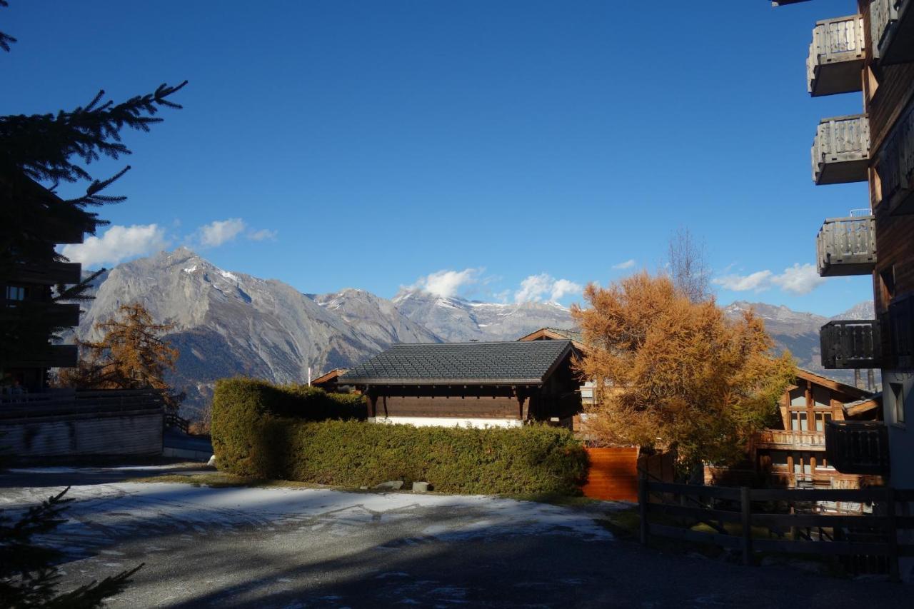 Pracondu 1 Outdoor & Fun Appartement 1 Chambre Superieur Avec Balcon By Alpvision Residences Nendaz Exteriör bild