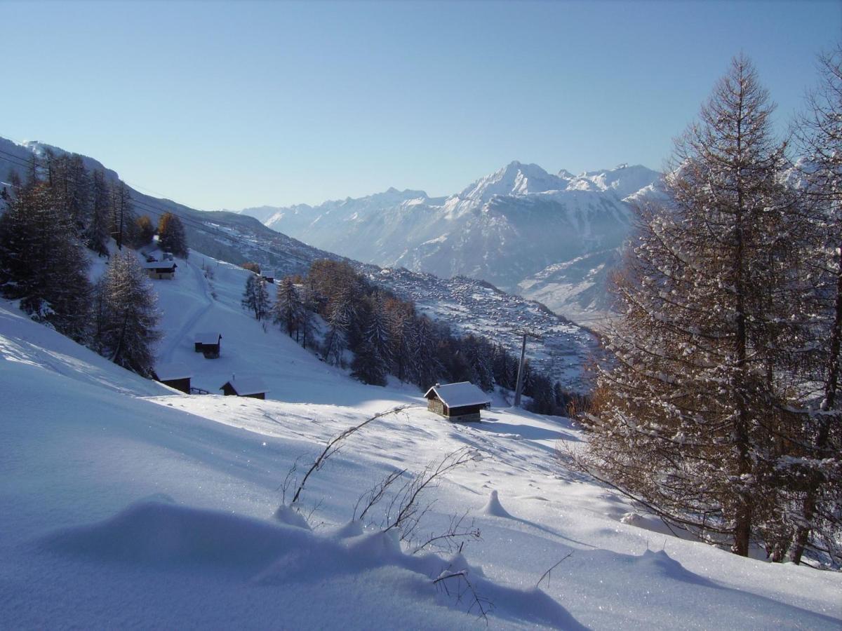 Pracondu 1 Outdoor & Fun Appartement 1 Chambre Superieur Avec Balcon By Alpvision Residences Nendaz Exteriör bild