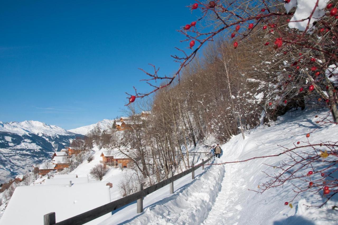 Pracondu 1 Outdoor & Fun Appartement 1 Chambre Superieur Avec Balcon By Alpvision Residences Nendaz Exteriör bild