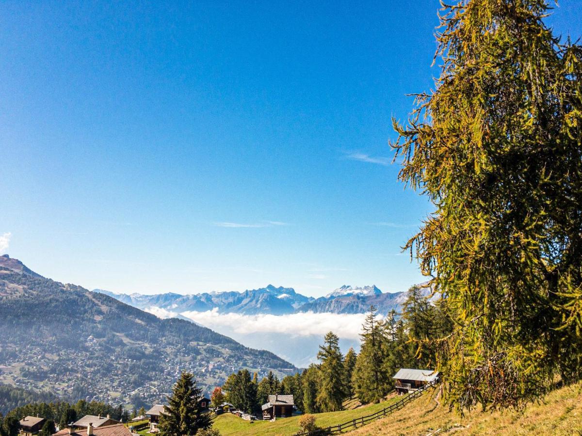 Pracondu 1 Outdoor & Fun Appartement 1 Chambre Superieur Avec Balcon By Alpvision Residences Nendaz Exteriör bild
