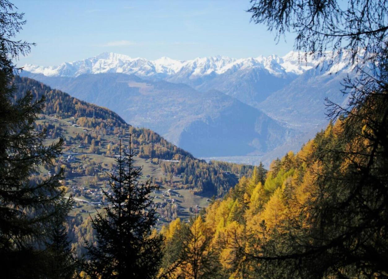 Pracondu 1 Outdoor & Fun Appartement 1 Chambre Superieur Avec Balcon By Alpvision Residences Nendaz Exteriör bild