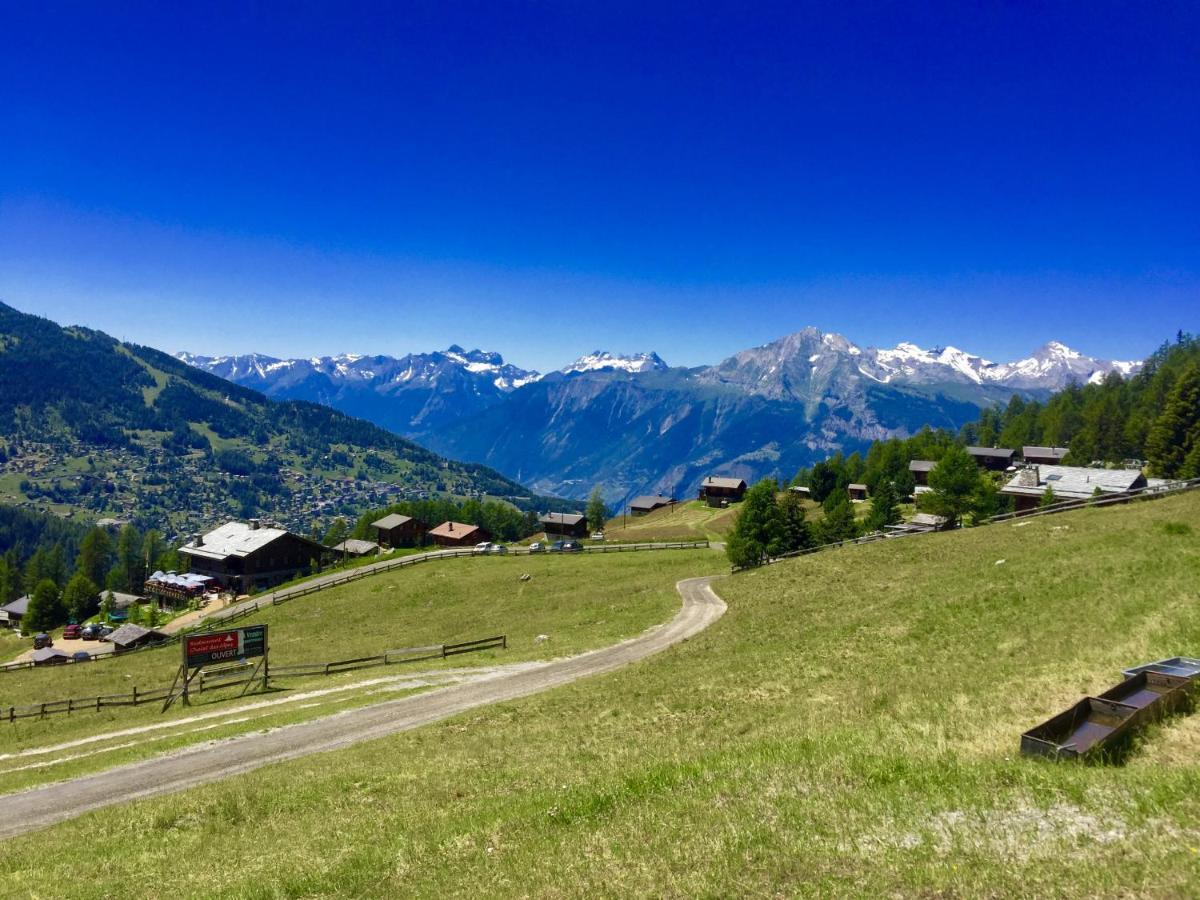 Pracondu 1 Outdoor & Fun Appartement 1 Chambre Superieur Avec Balcon By Alpvision Residences Nendaz Exteriör bild