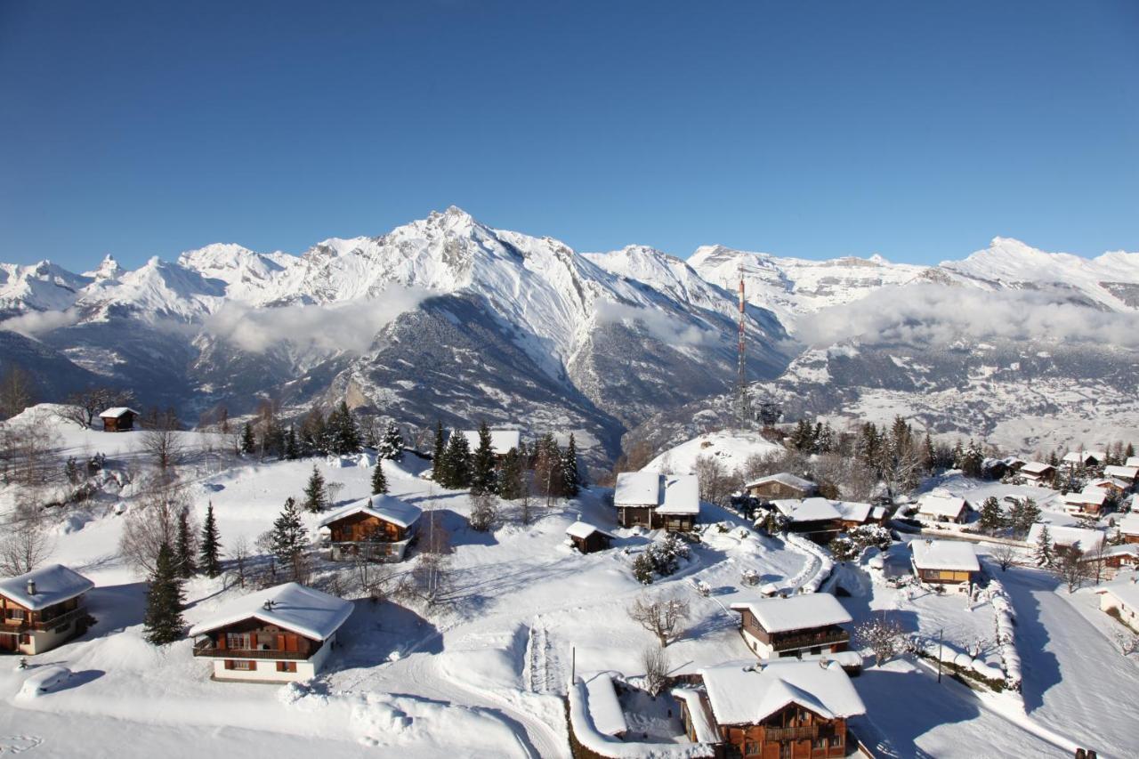Pracondu 1 Outdoor & Fun Appartement 1 Chambre Superieur Avec Balcon By Alpvision Residences Nendaz Exteriör bild